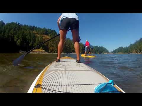 Pelican SUP in Roche Cove near Victoria BC