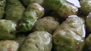 Suy giản tỉnh mạch uống quả này hết