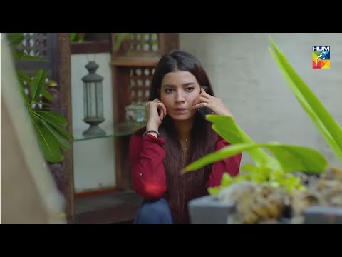 Kia Saira, Amaan Ko Apni Shadi Ka Saboot Degi !! Ye Dil Mera - HUM TV