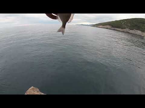 Ribolov štapom s obale-C&R-Sitnu ribu moru vrati