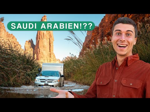 Off-road through an oasis in Saudi Arabia (Wadi Disah)