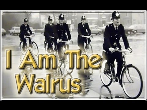 I Am the Walrus The Beatles 60's Acoustic Guitar Cover Pop Music Song Magical Mystery Tour Kiwi NZ