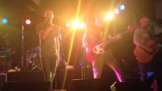 Shed Seven - Dolphin / Going For Gold recorded at The Tivol