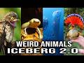 Weird Animals Iceberg 2 0 Animals You Ve Never Heard Of