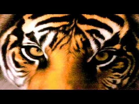 Nate Dogg - Shake That Eye Of The Tiger Ft. Eminem (Dj1up11 Remix) *R.I.P Nate Dogg*