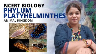 Animal Kingdom | Phylum Platyhelminthes | Class 11 | NCERT
