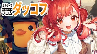 【 エスケープ フロム ダッコフ 】引っ越し後のPC環境になれてゆく【ラトナ・プティ/にじさんじ】