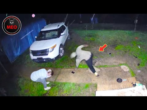 Moments When Things Went Wrong | Best Of Month (P19)
