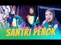 Shinta Arsinta SANTRI PEKOK Official Music Video ANEKA MUSI