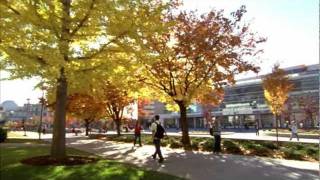 Overview of Brigham Young University