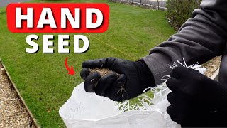 Cheapest Way To Overseed A Patchy Lawn : No Tools