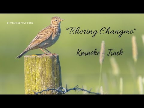 Bhutanese Song | "Tshering Changmo" | Karaoke | Track