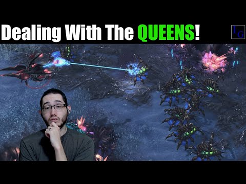 Battling The Zerg Royalty! | Protoss vs Zerg PvZ Ladder Game | Starcraft 2 SC2 Match Highlight