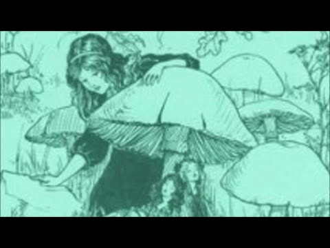 Great Charity Shop Finds No 142 - Glass Prism: 'A Dream Within A Dream'