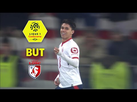But Luiz ARAUJO (51') / OGC Nice - LOSC (2-1)  / 2017-18