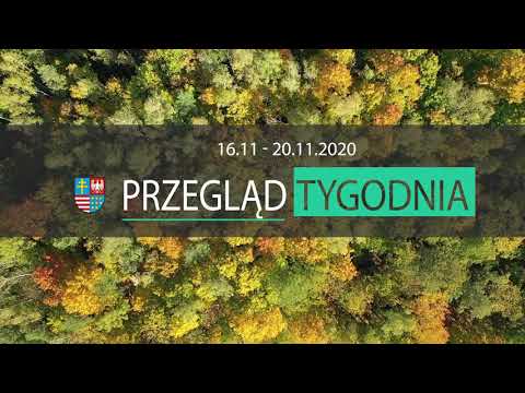 Plansza z napisem Przegląd tygodnia od 16 do 20 listopada 2020 roku. W tle las w kolorach jesieni - widok z lotu ptaka