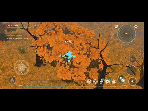 Last day on Earth fui na Clareira de Carvalho.