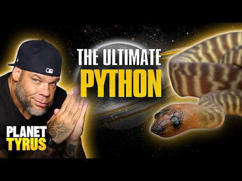 Tyrus Zoo