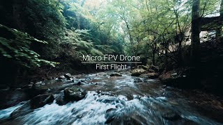 マイクロFPVドローン 初フライト
