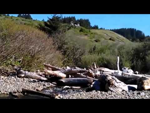 A walk on the Beach Nyla