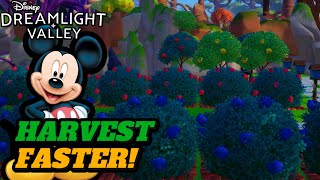 HARVEST FRUITS FASTER! (GUIDE) | Disney Dreamlight Valley