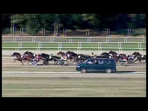 Marschall József Emlékverseny 2013-Istogramma Sas 1:14,7-Gerhard Mayr