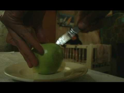 Taller 3, Segundo, Año 2007 (Haiku)