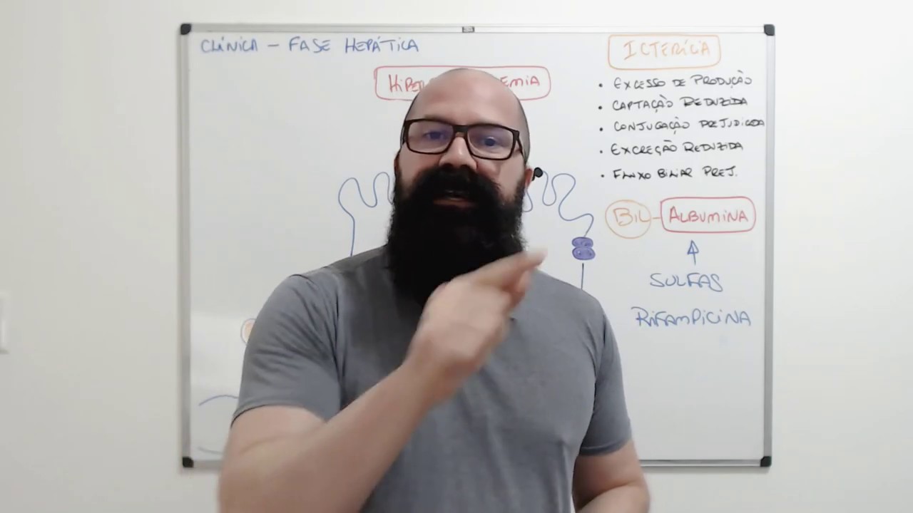 Bilirrubinas   Fase Hepática