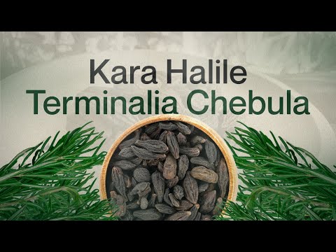 Meet the Miraculous Benefits of Kara Halile!