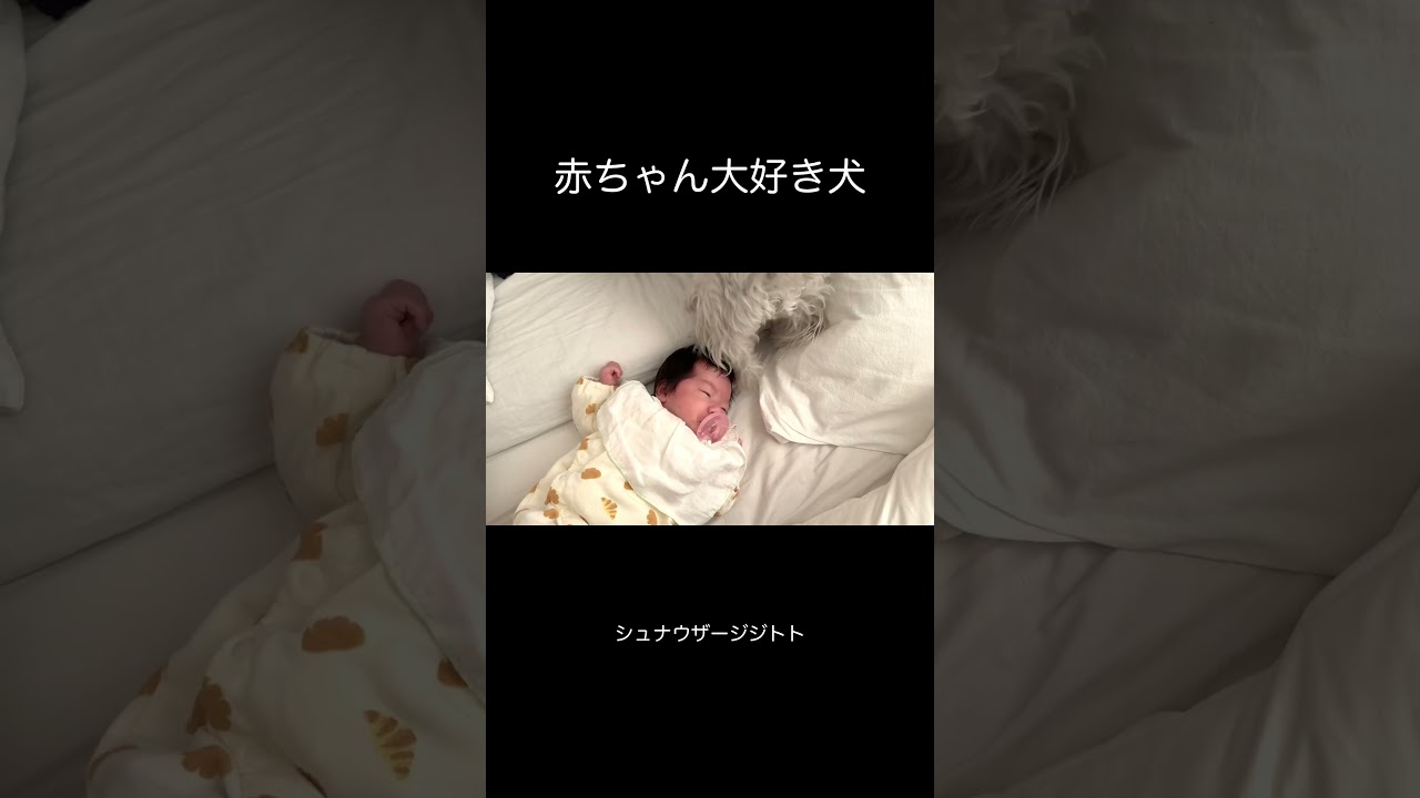 気づくと隣にいます