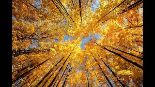 &quot;Play with me&quot; by Rammstein (&quot;Spiel mit mir&quot;)