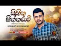 සිහින සිත්තරාවී Sihina Siththaravi Official Music Video 2011 Roshan Fern