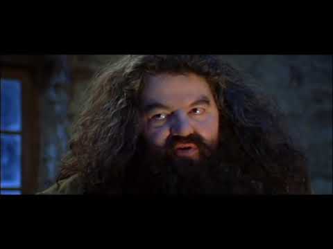 Trailer frame echoing the sense of belonging underscored by the Hogwarts theme