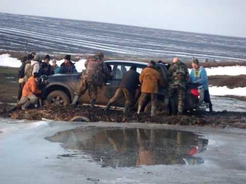 09 01 2010 Vanatoare iepuri Coarnele Caprei Iasi 53