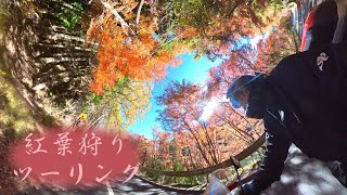 とくに見どころのない紅葉狩りツーリング