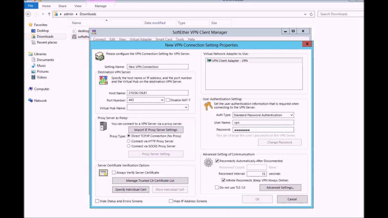 SoftEther VPN Client Manager