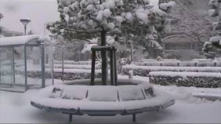 preview picture of video 'St. Peter-Ording und Eiderstedt im Schnee !'