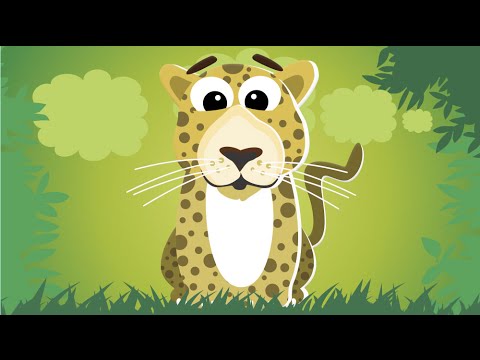 Puzzles: wild animals Video