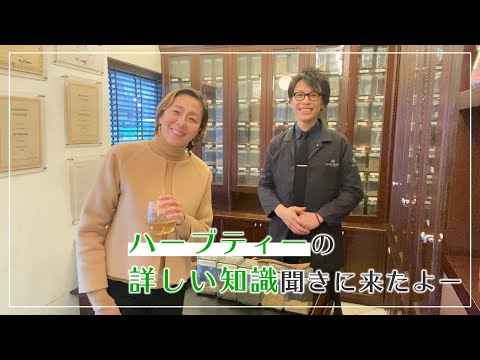 ホップティーの使い方、作り方、効果 植物