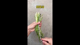 Download lagu 7390769078371093795.mp4 mp3