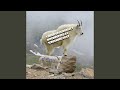 1 Hour Of Silence Occasionally Broken By Screaming Goat