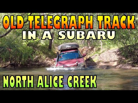 Old Telegraph Track - In a Subaru - North Alice Creek