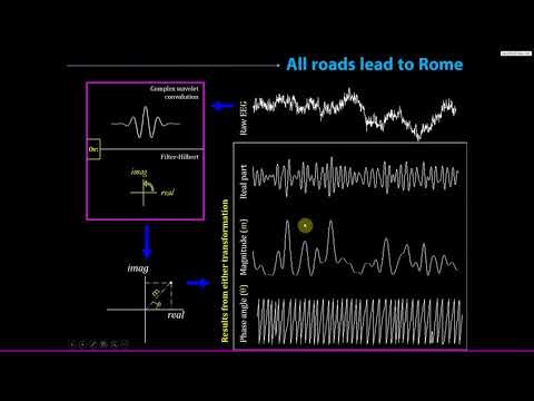 The Hilbert transform
