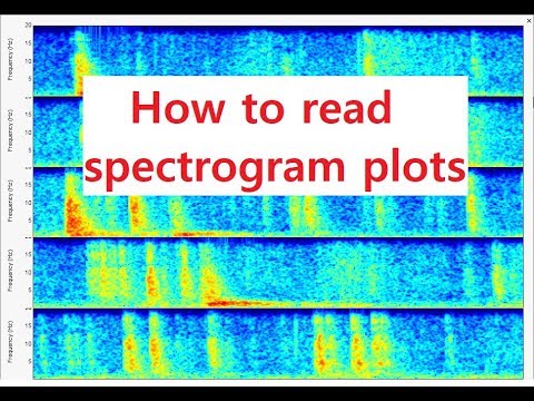 How to read Spectrogram plots - Best plots to generate are from the program SWARM!