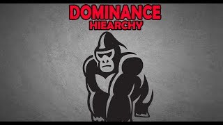 How to Outrank an Alpha Male | The Dominance Hierarchy