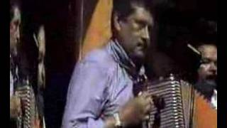 Mi Par De Polluelos Lyrics English Translation