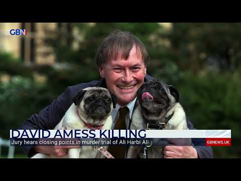 Ali Harbi Ali trial: GB News Security Editor reports from The Old Bailey