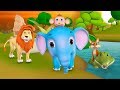 விலங்குகள் போட்டி தமிழ் கதை Animals Competition Stor