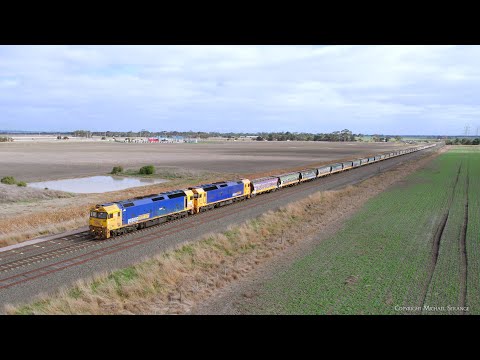 7736V Pacific National Grain Train At Gheringhap (16/7/2023) - PoathTV Australian Railways