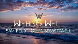 Wishing Well - Sam Feldt, Olivia Sebastianelli